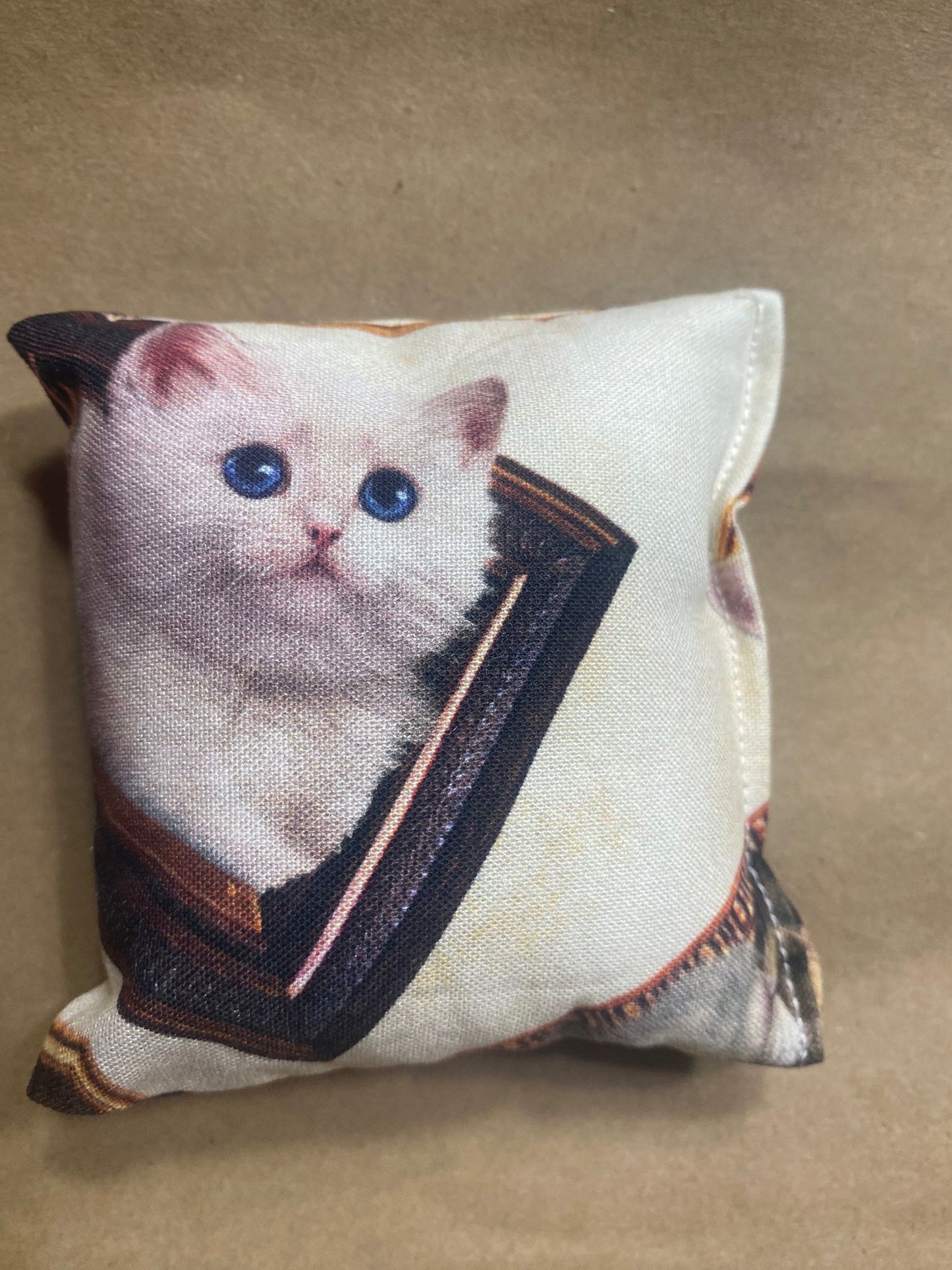 Coussins - jouet pour chat (x6)