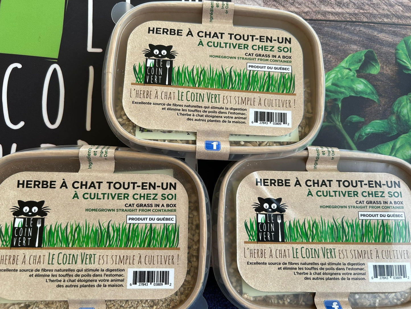 Herbe à chat tout-en-un (3 boîtes+)