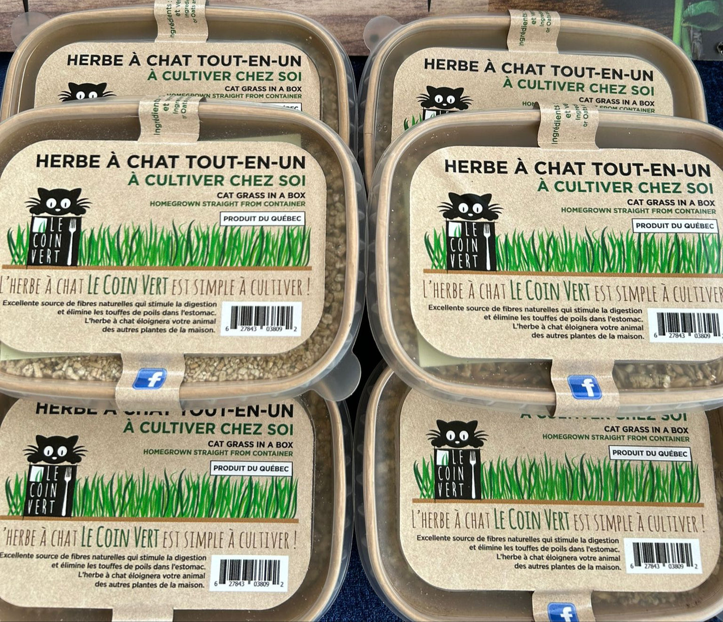 Herbe à chat tout-en-un (3 boîtes+)