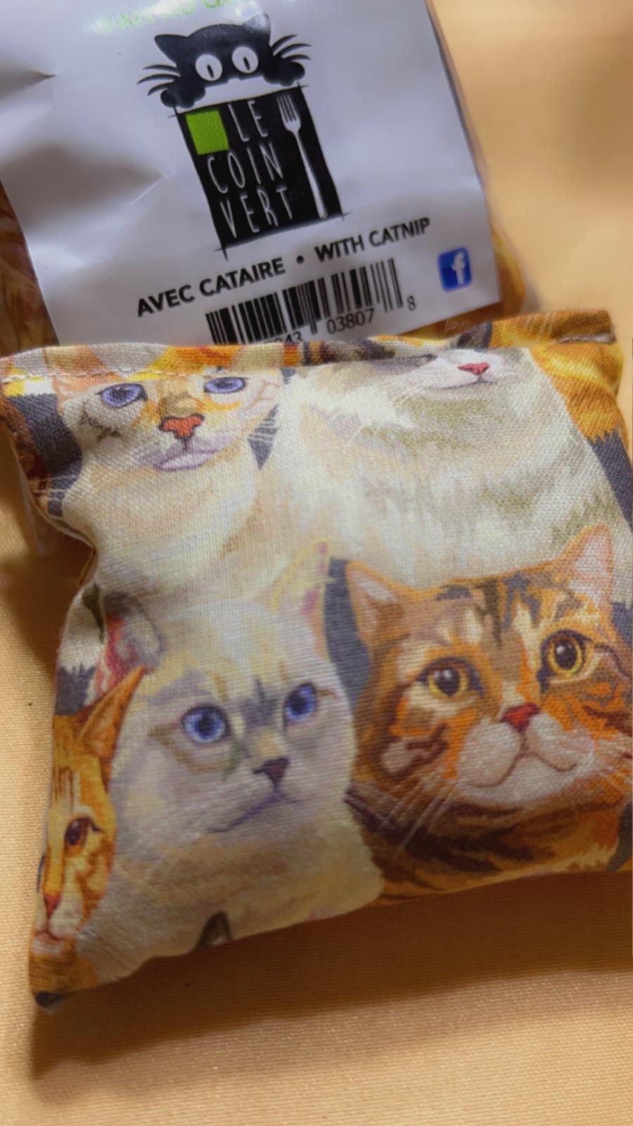 Coussins - jouet pour chat (x6)