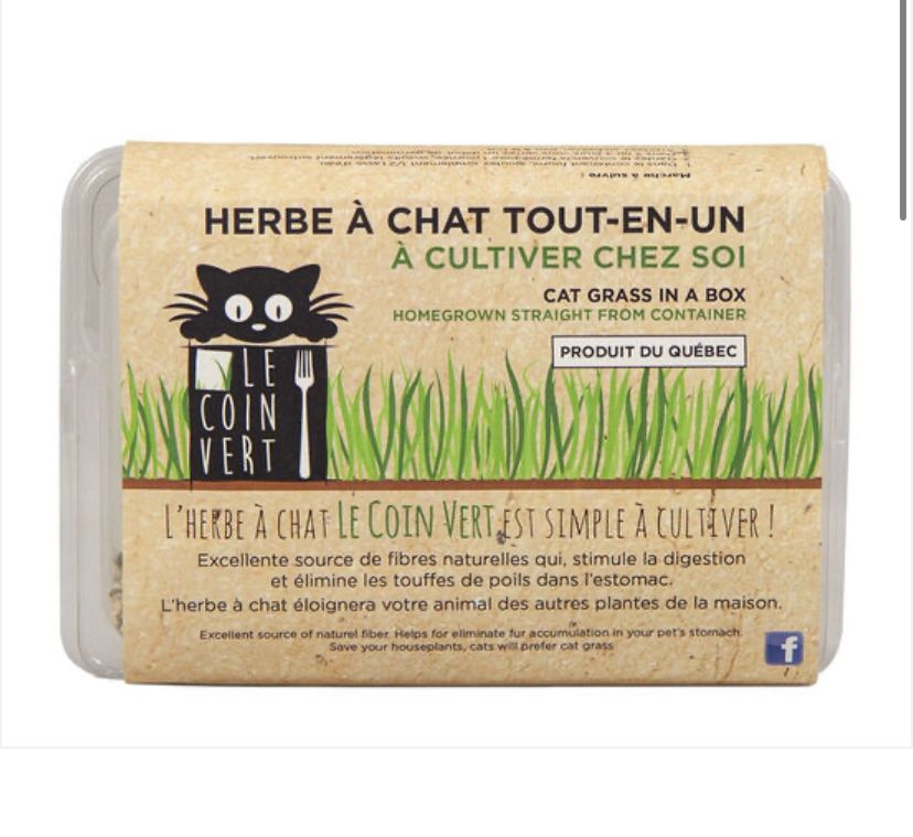 Herbe à chat tout-en-un (3 boîtes+)