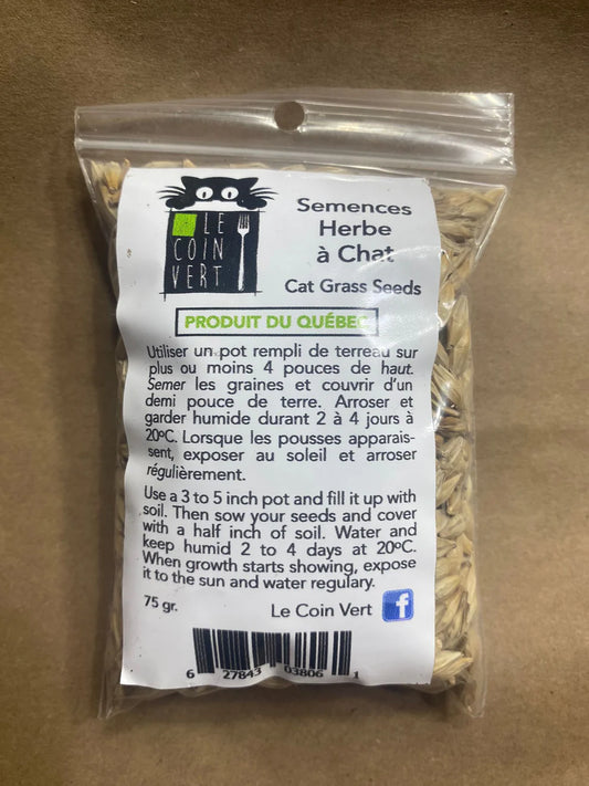 Cat Grass Seeds (x1)